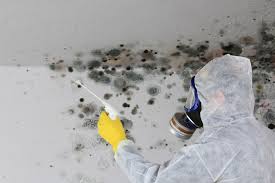 Reliable Sleepy Hollow, CA Mold Remediation Solutions